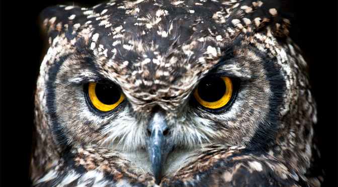 Enneagram Type One – A Quick Introduction