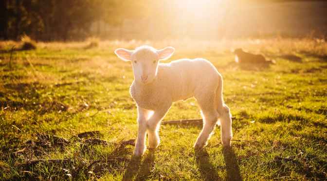 Enneagram Type Six – A Quick Introduction