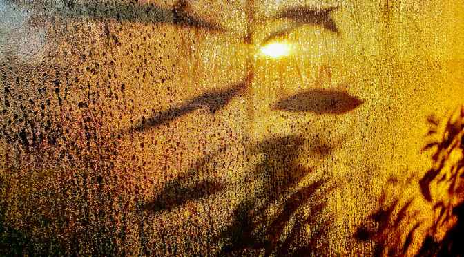 Longing and Presence