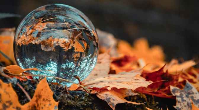 Should Diviners Give Advice? Yes, But…