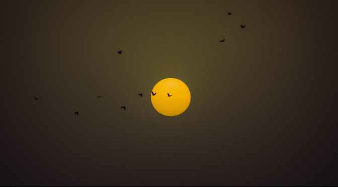 Checking Talismans with Playing Cards