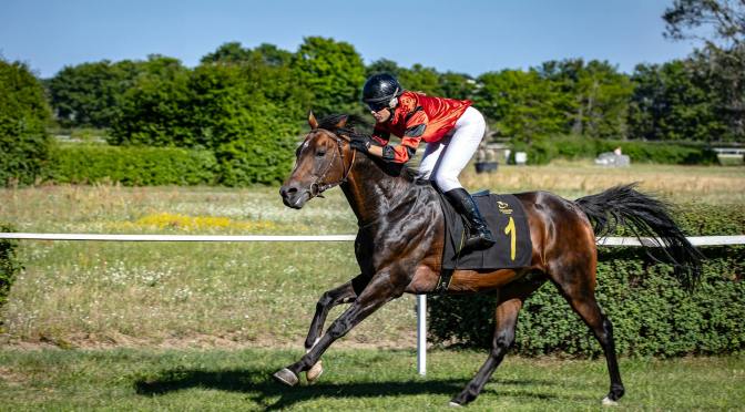 Life Is Circles Within Circles (Example Reading)