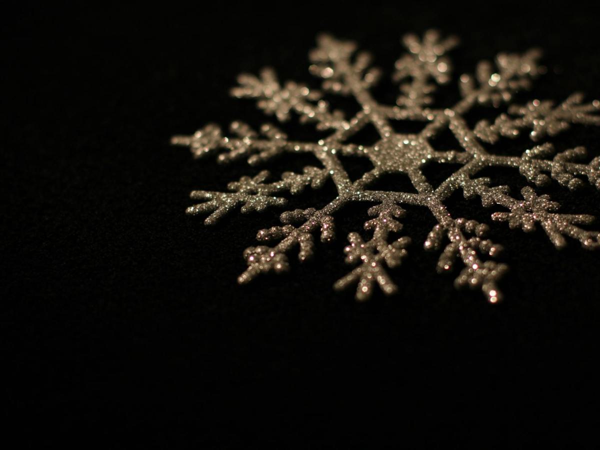 Winter Alights On Everything