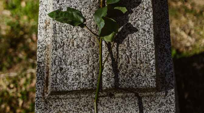 Love Beyond the Grave? (Example Reading)