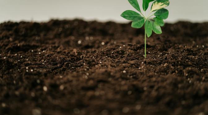 Stuff You Don’t HAVE To Believe: Reincarnation