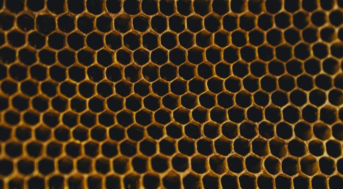 How ‘Topic’ Cards Behave